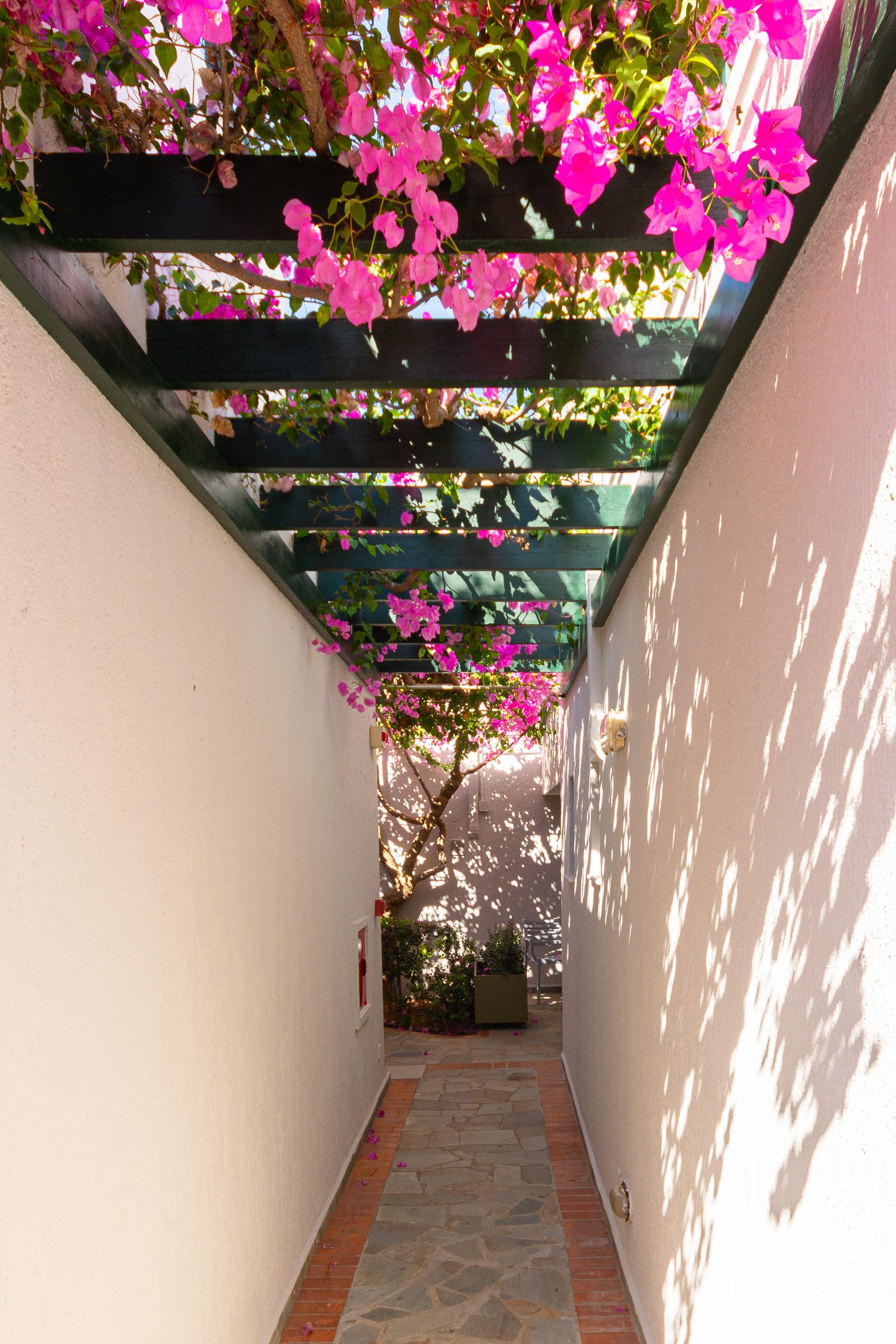 Anna Maria Village Hersonissos (Crete) Exterior foto
